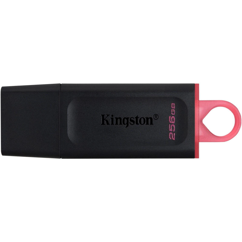 Kingston 256 GB USB 3.2 Flash Drive